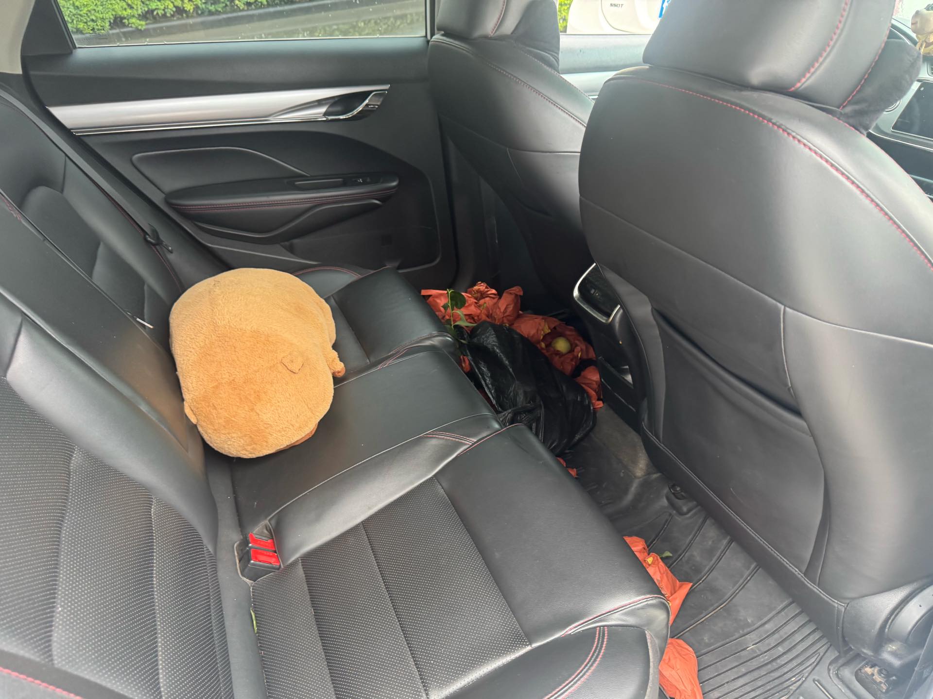 GEELY Binray 2019 صورة سيارة #5