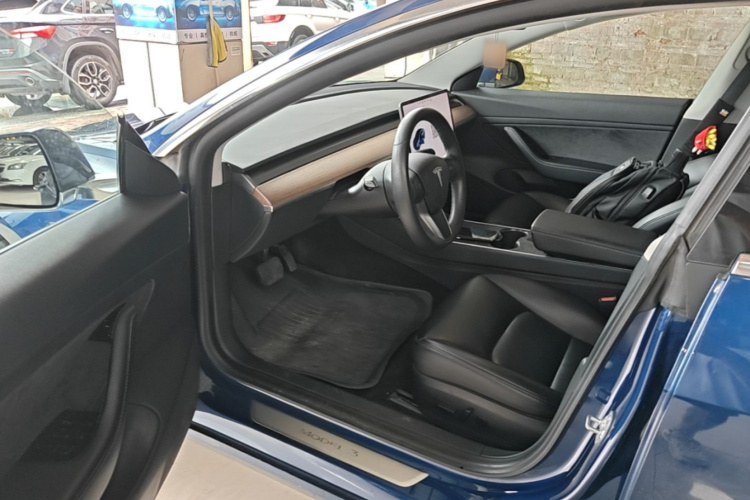 Tesla Model 3 2020 car image #16