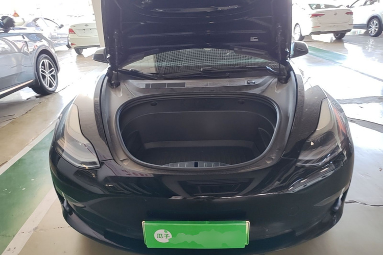 Tesla Model 3 2021 car image #20