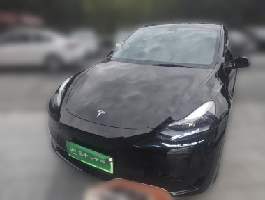 Tesla Model Y 2023 Tesla Model Y 2023 car image