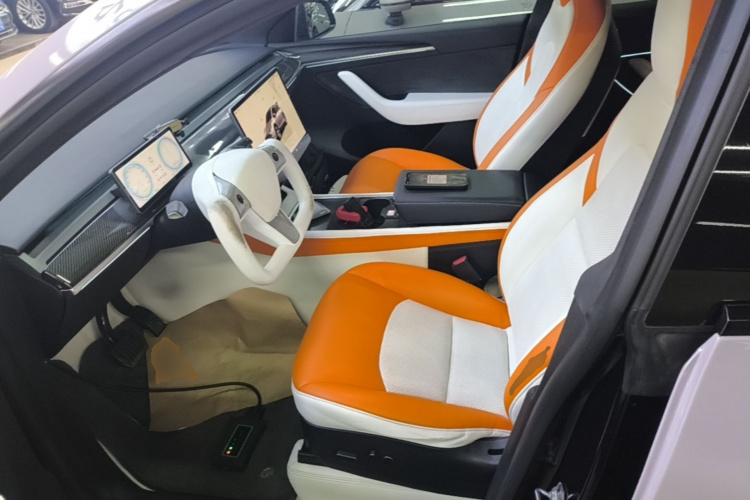 Tesla Model Y 2022 car image #15