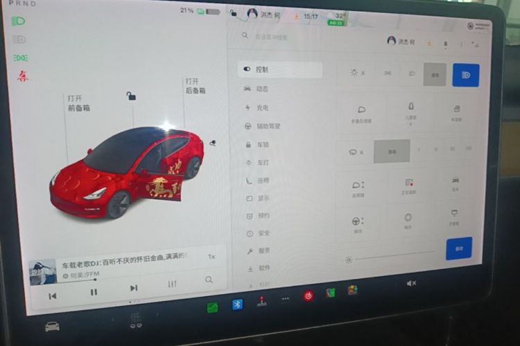 Tesla Model 3 2021 car image #13