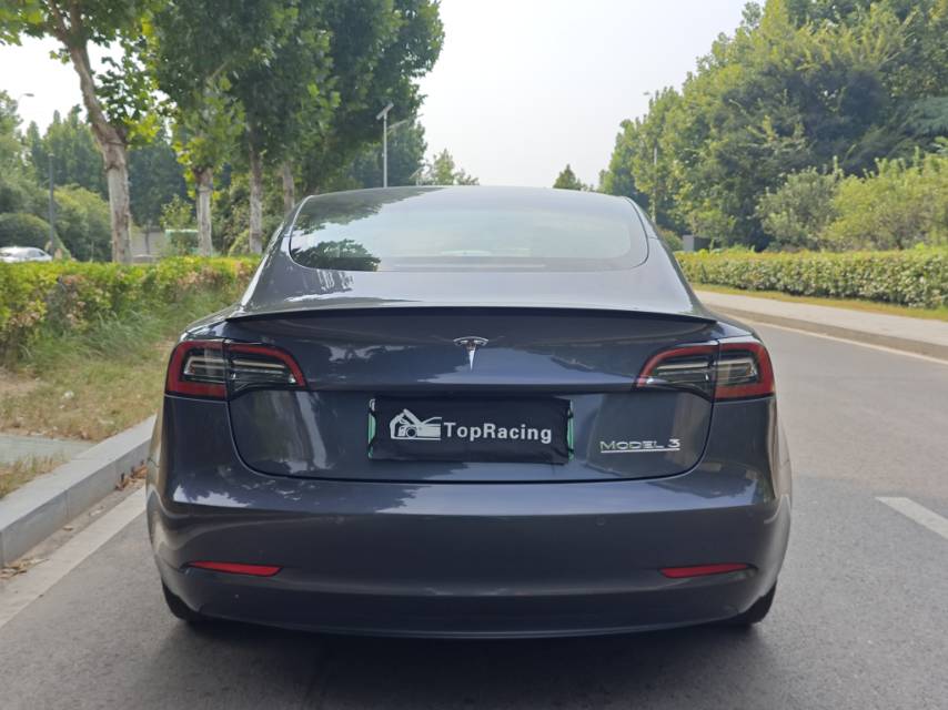 Tesla Model 3 2021 #8 Tesla Model 3 2021 car image #8