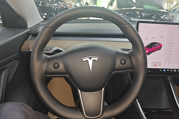 Tesla Model 3 2020 car image #11
