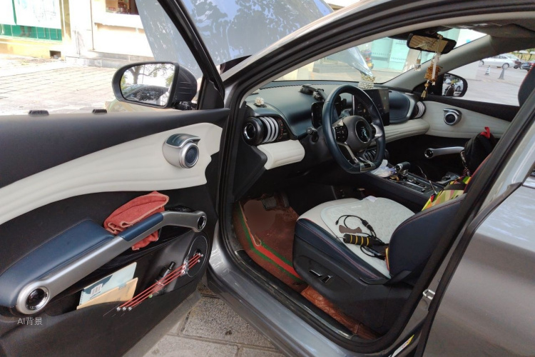 BYD Yuan Plus 2022 car image #18