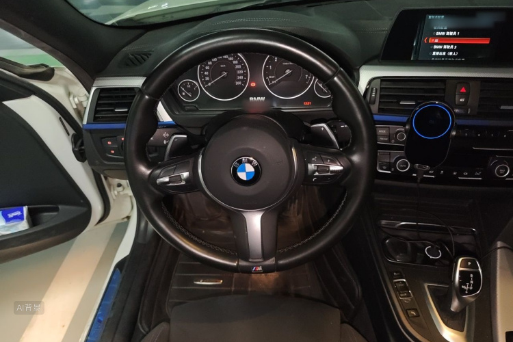 BMW 3 Series 2017 car image #12