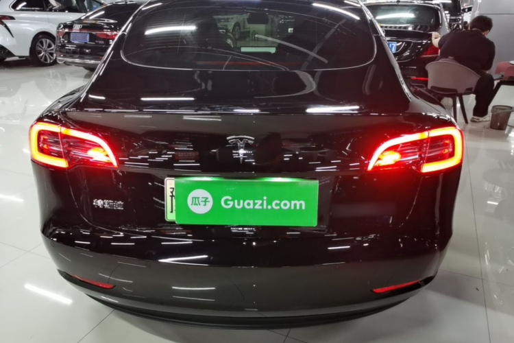 Tesla Model 3 2021 #6 Tesla Model 3 2021 car image #6