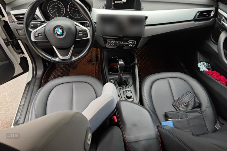 BMW X1 2017 car image #11