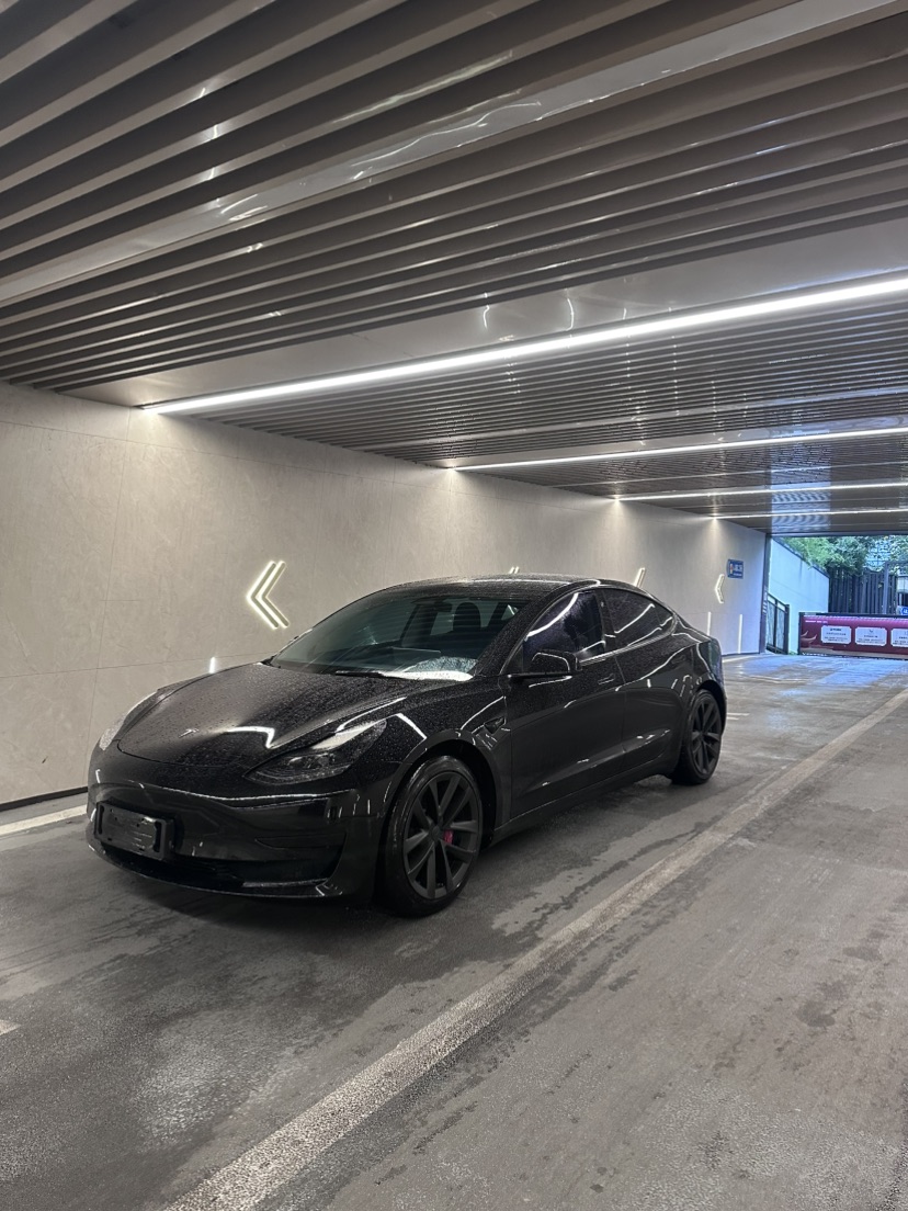 Tesla Model 3 2023 immagine di auto #6