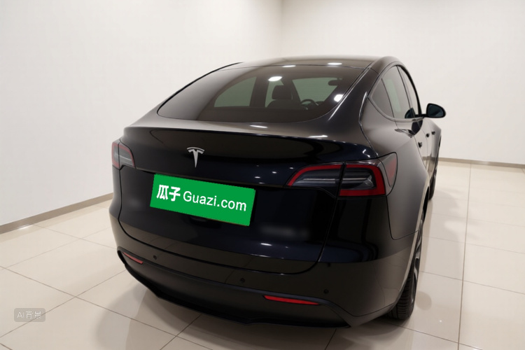 Tesla Model Y 2021 car image #6