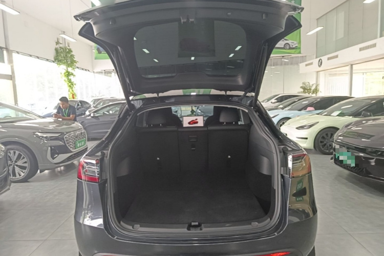 Tesla Model Y 2024 car image #19