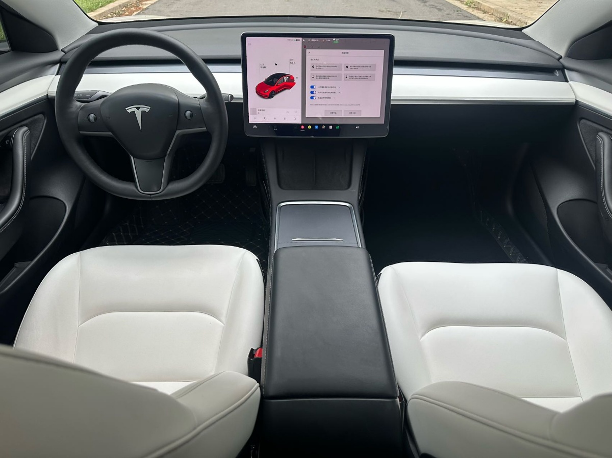 Tesla Model 3 2021 #6 Tesla Model 3 2021 car image #6
