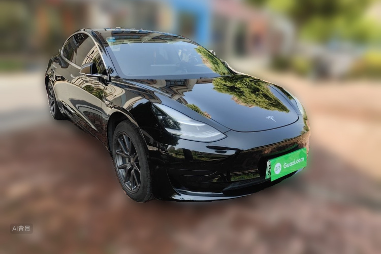 Tesla Model 3 2020 car image #4