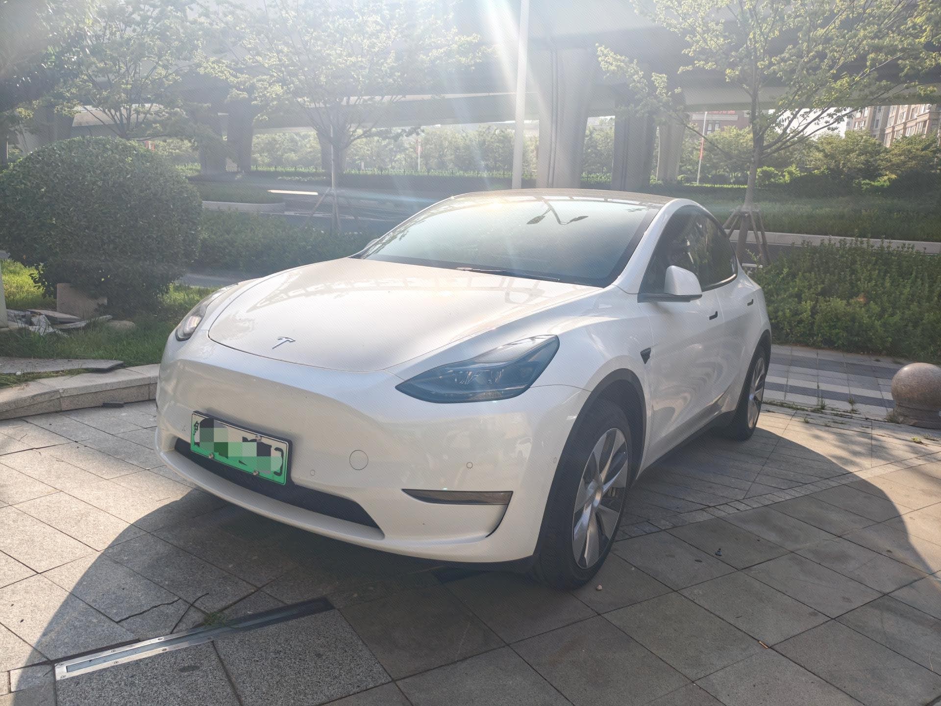 Tesla Model Y 2021 car image 