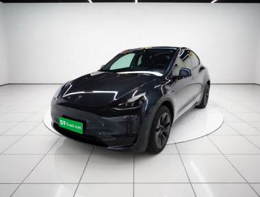 Tesla Model Y 2024 Tesla Model Y 2024 car image