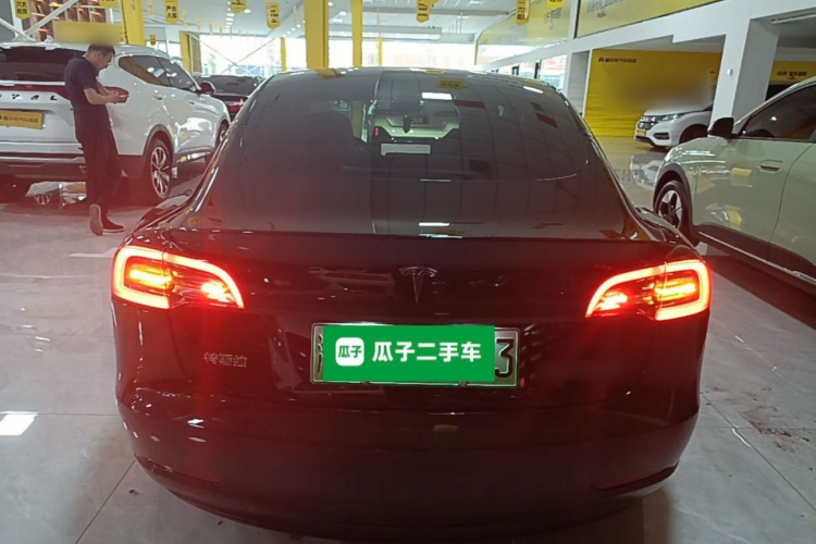 Tesla Model 3 2023 car image #6