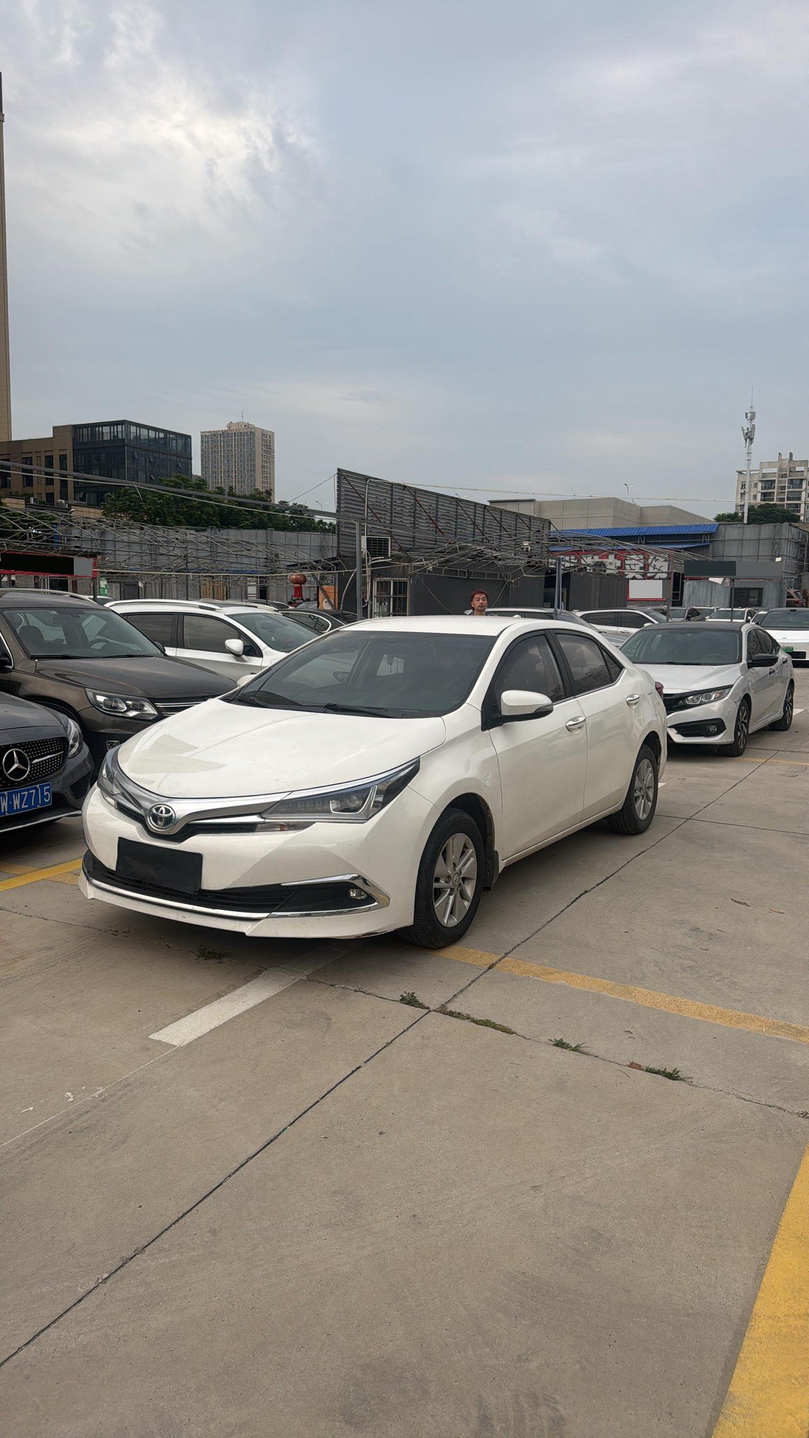 Toyota Corolla 2016 Toyota Corolla 2016 car image