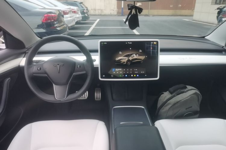 Tesla Model 3 2022 car image #11