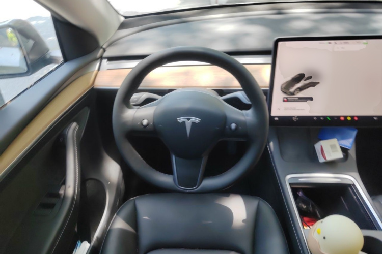Tesla Model Y 2021 #11 Tesla Model Y 2021 car image #11