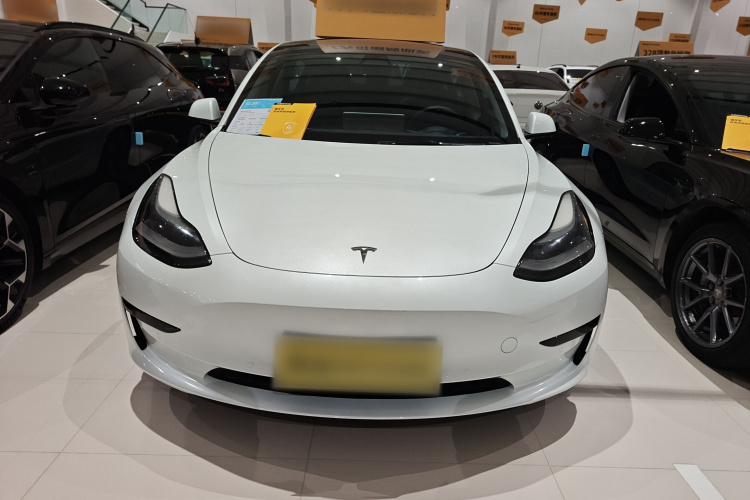Tesla Model 3 2021 immagine di auto #3