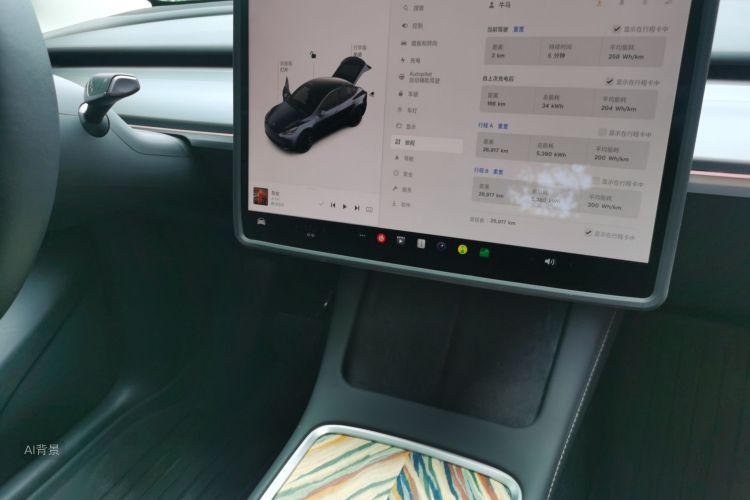Tesla Model Y 2024 car image #15