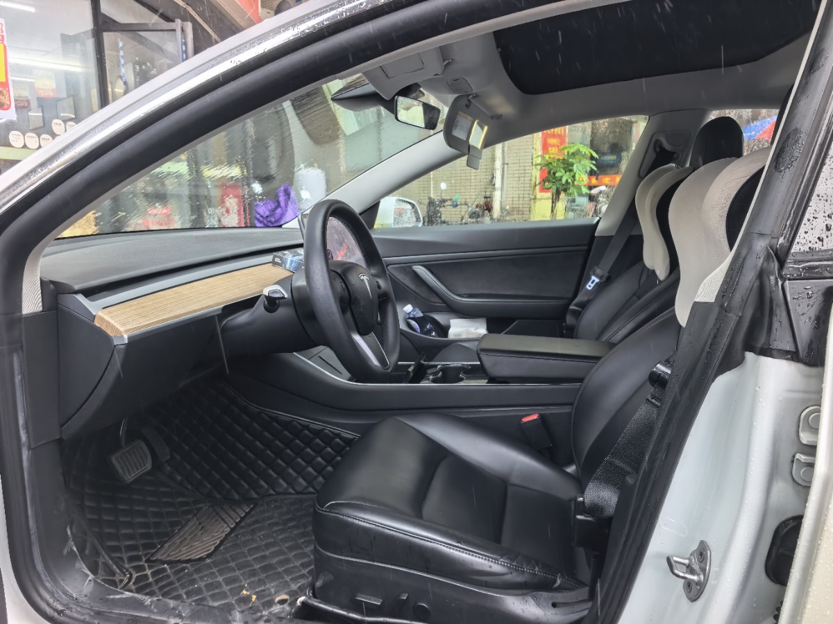 Tesla Model 3 2020 car image #8