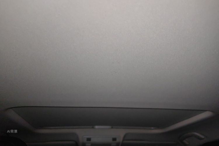 2019 image de voiture #20