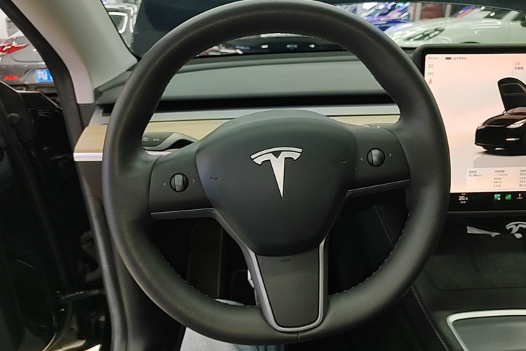 Tesla Model Y 2023 #11 Tesla Model Y 2023 car image #11