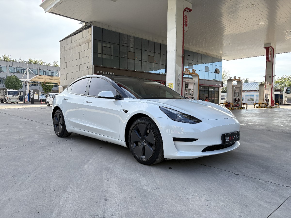 Tesla Model 3 2021 car image 