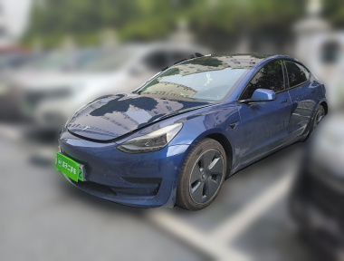 Tesla Model 3 2021 car image 