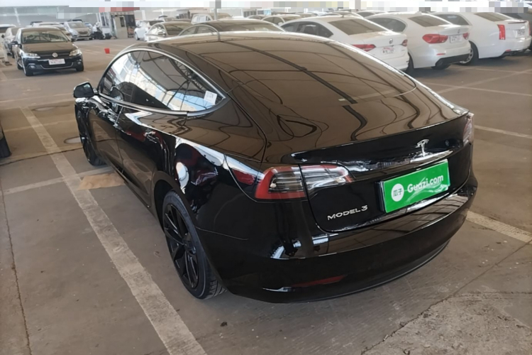Tesla Model 3 2022 car image #5