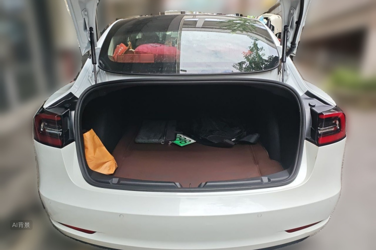 Tesla Model 3 2020 car image #21