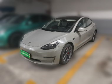 Tesla Model 3 2022 Tesla Model 3 2022 car image