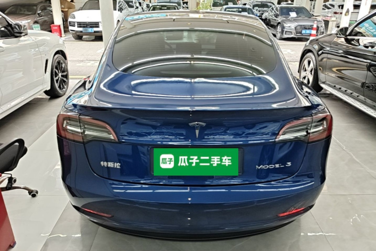 Tesla Model 3 2021 car image #6
