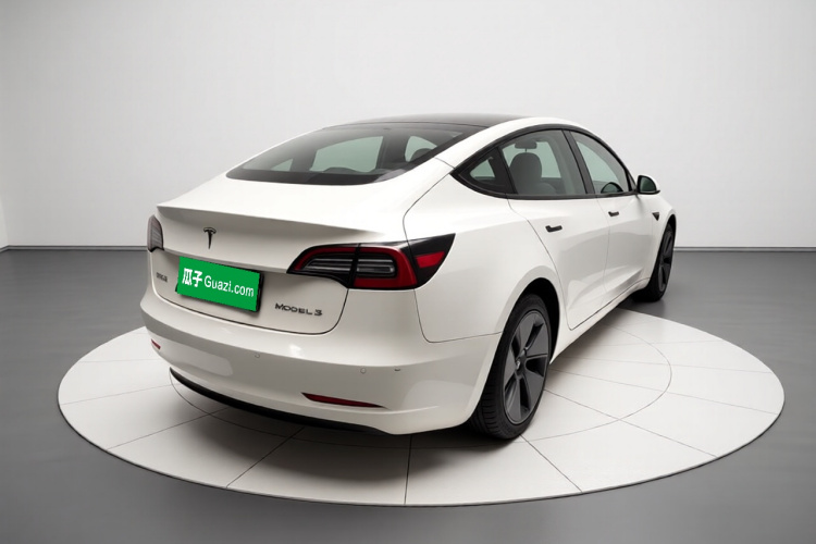 Tesla Model 3 2021 #7 Tesla Model 3 2021 car image #7