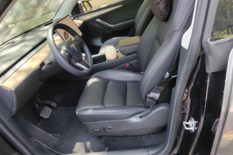 Tesla Model Y 2021 #15 Tesla Model Y 2021 car image #15