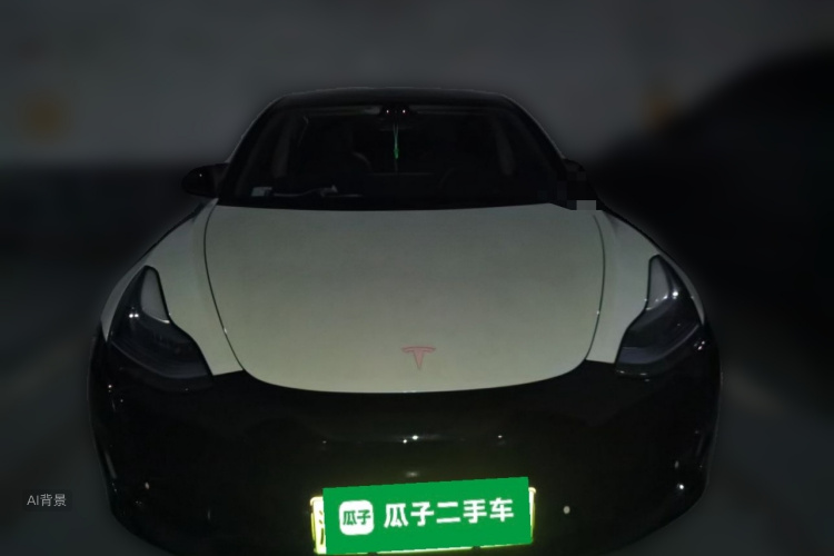 Tesla Model 3 2023 #3 Tesla Model 3 2023 car image #3