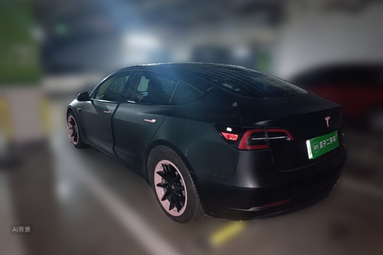 Tesla Model 3 2021 car image #5