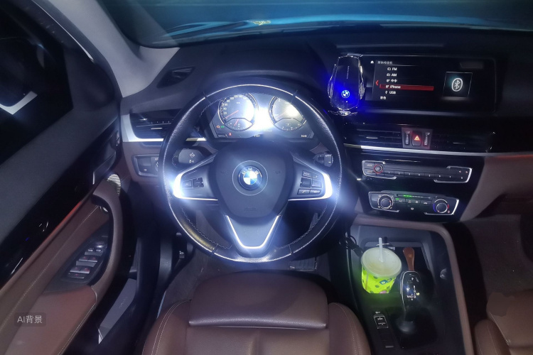 BMW X1 2021 car image #12