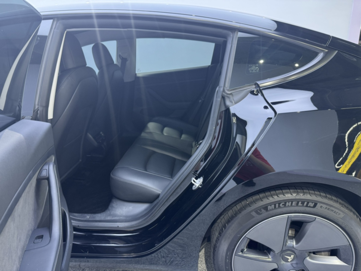 Tesla Model 3 2023 car image #8