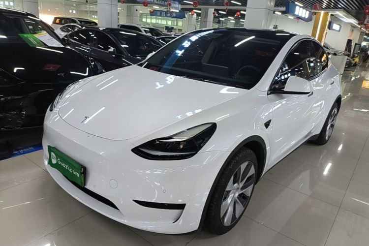 Tesla Model Y 2022 #2 Tesla Model Y 2022 car image #2
