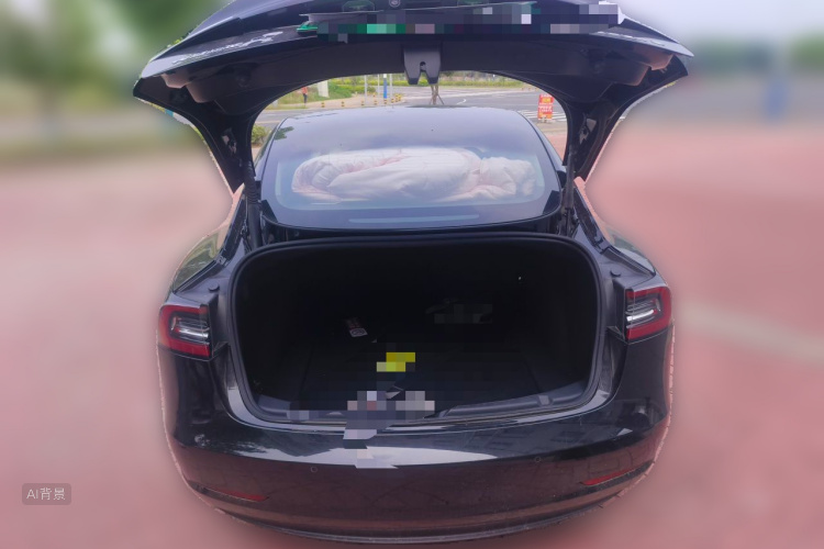 Tesla Model 3 2021 car image #21