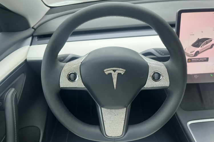 Tesla Model 3 2021 #10 Tesla Model 3 2021 car image #10