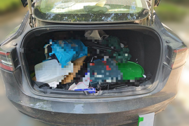 Tesla Model 3 2020 car image #17