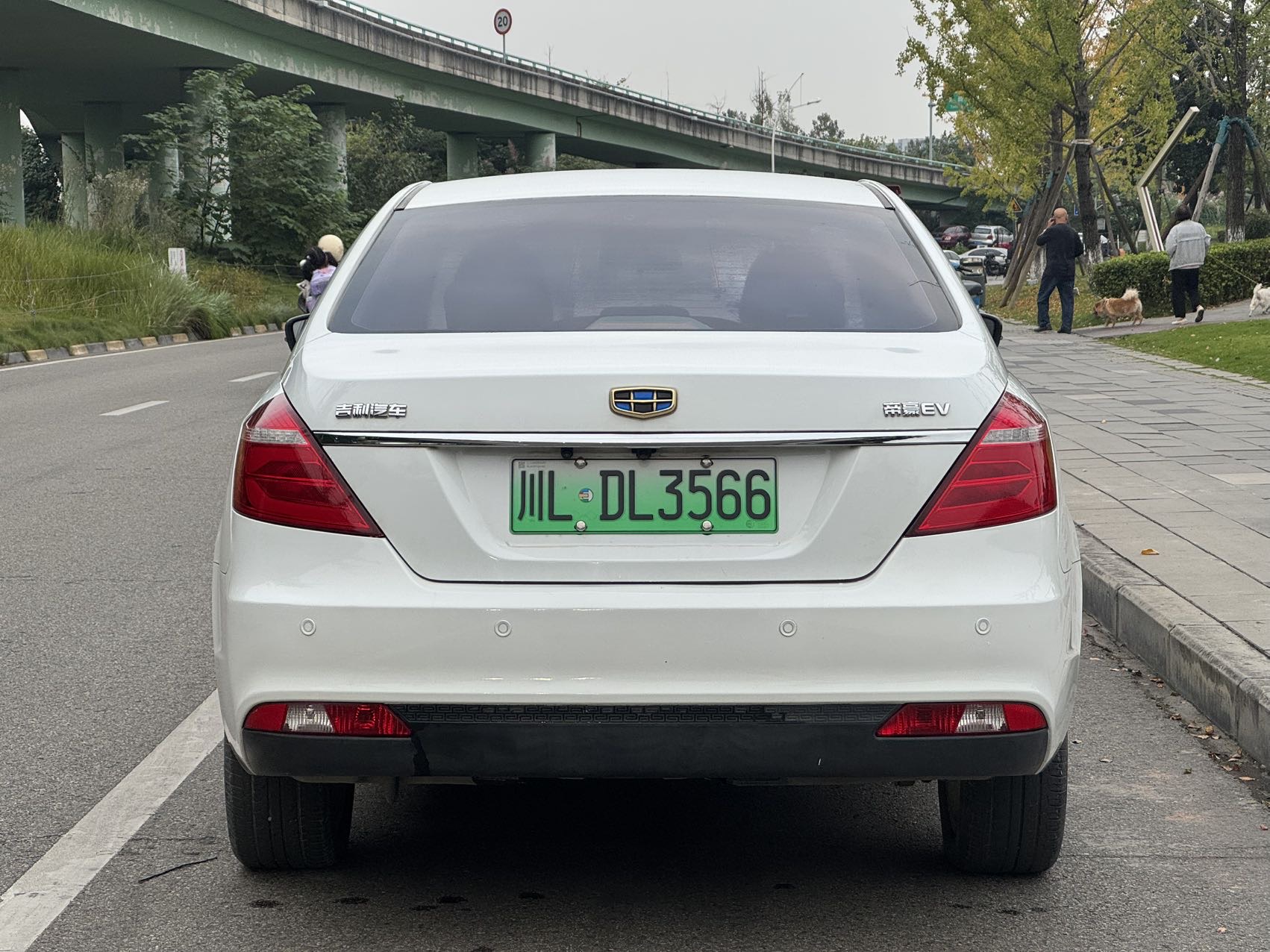 GEELY Emgrand New Energy 2017 car image #5