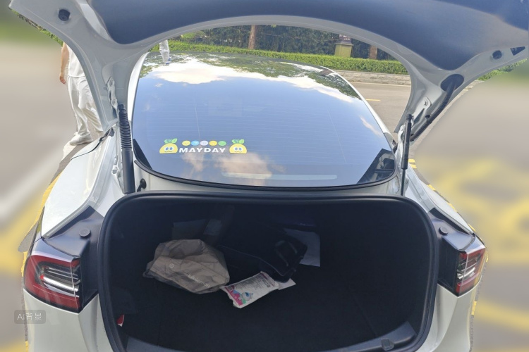 Tesla Model 3 2022 #21 Tesla Model 3 2022 car image #21