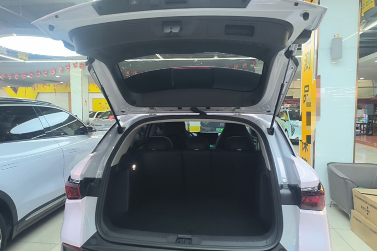 BYD Yuan Plus 2023 car image #19