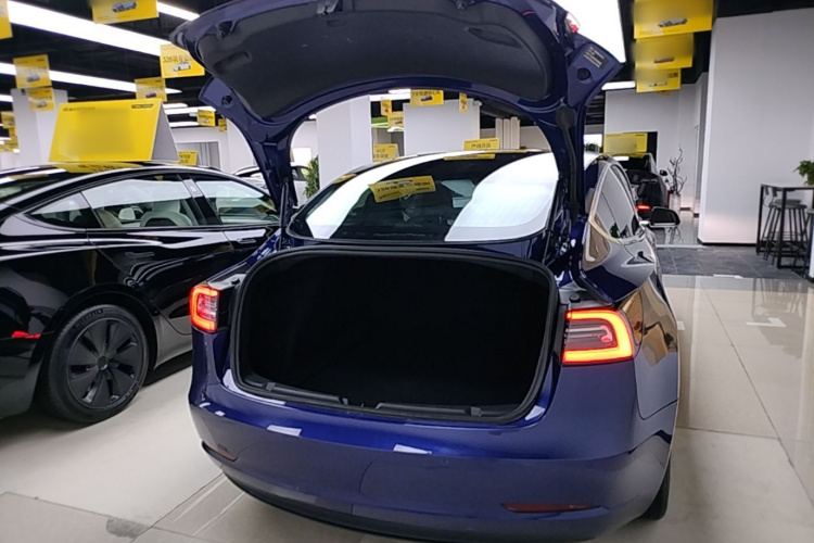 Tesla Model 3 2020 car image #19