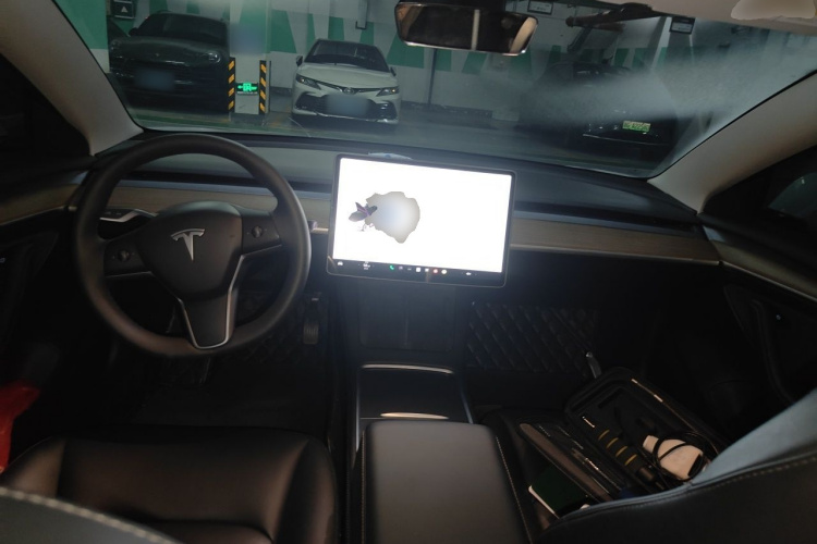 Tesla Model 3 2021 car image #7