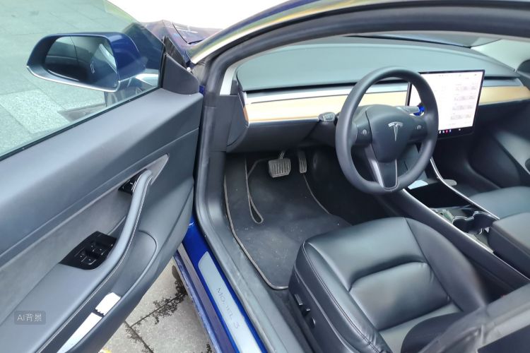 Tesla Model 3 2020 car image #18